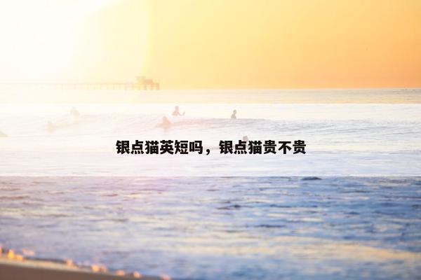 银点猫英短吗,银点猫贵不贵 银点猫英短吗,银点猫贵不贵