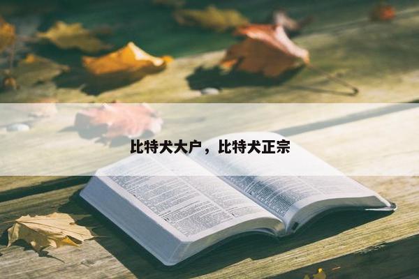 比特犬大户，比特犬正宗