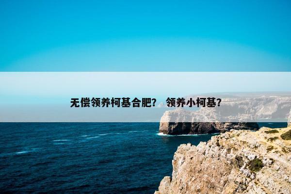 无偿领养柯基合肥? 领养小柯基? 无偿领养柯基合肥? 领养小柯基?
