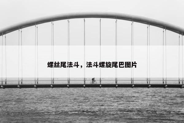 螺丝尾法斗，法斗螺旋尾巴图片