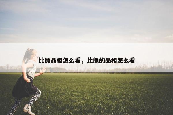 比熊品相怎么看，比熊的品相怎么看