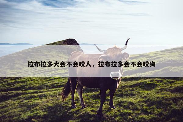 拉布拉多犬会不会咬人,拉布拉多会不会咬狗 拉布拉多犬会不会咬人,拉布拉多会不会咬狗