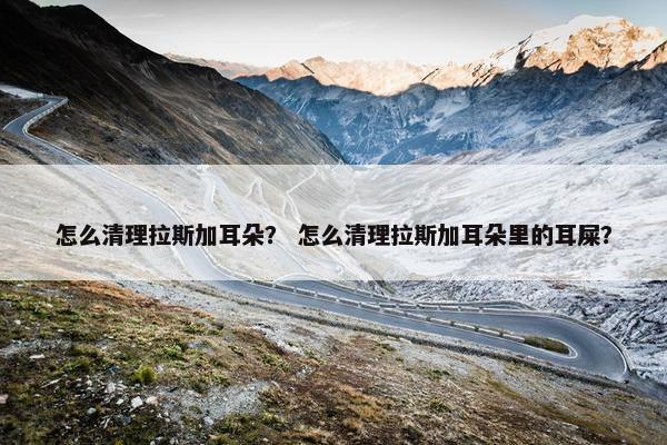 怎么清理拉斯加耳朵？ 怎么清理拉斯加耳朵里的耳屎？