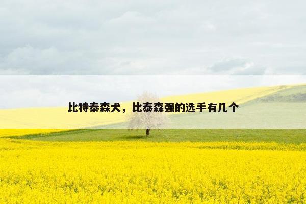 比特泰森犬，比泰森强的选手有几个