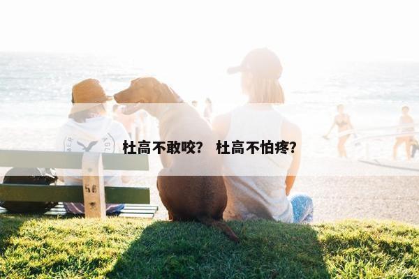 杜高不敢咬？ 杜高不怕疼？