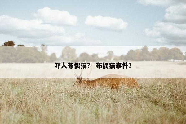 吓人布偶猫？ 布偶猫事件？