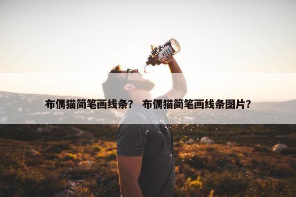 布偶猫简笔画线条？ 布偶猫简笔画线条图片？