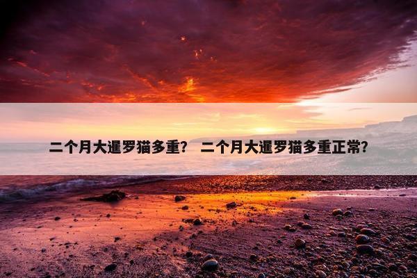 二个月大暹罗猫多重？ 二个月大暹罗猫多重正常？