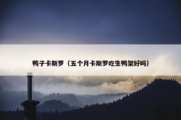 鸭子卡斯罗（五个月卡斯罗吃生鸭架好吗）
