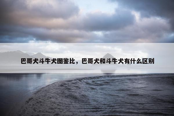 巴哥犬斗牛犬图鉴比，巴哥犬和斗牛犬有什么区别