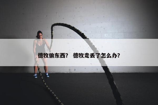 德牧偷东西？ 德牧走丢了怎么办？