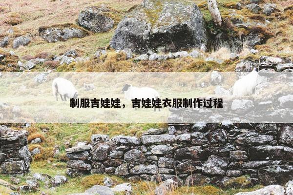 制服吉娃娃，吉娃娃衣服制作过程