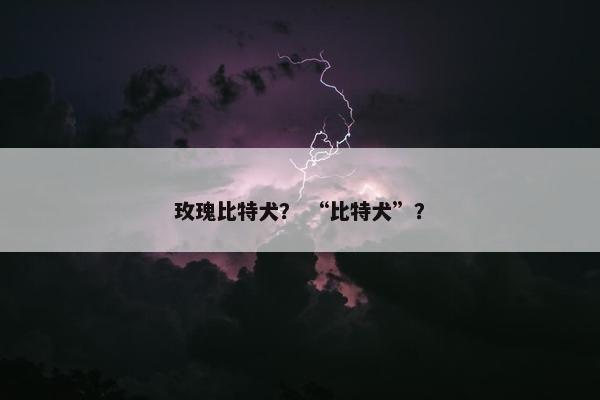 玫瑰比特犬？ “比特犬”？