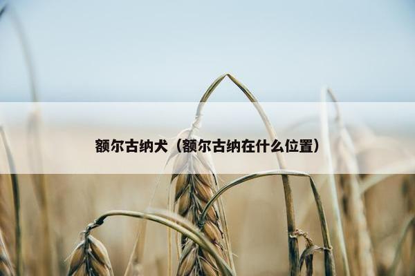 额尔古纳犬（额尔古纳在什么位置）