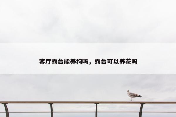 客厅露台能养狗吗，露台可以养花吗