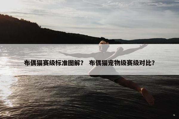 布偶猫赛级标准图解？ 布偶猫宠物级赛级对比？
