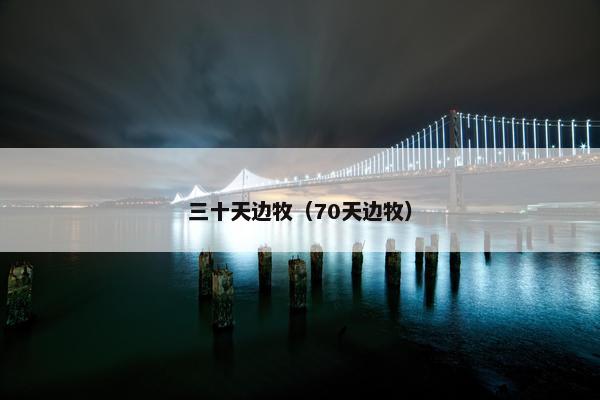 三十天边牧（70天边牧）