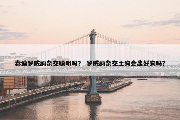 泰迪罗威纳杂交聪明吗？ 罗威纳杂交土狗会出好狗吗？