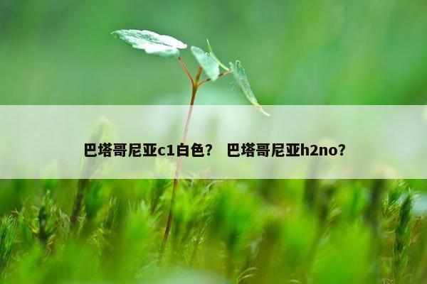 巴塔哥尼亚c1白色？ 巴塔哥尼亚h2no？