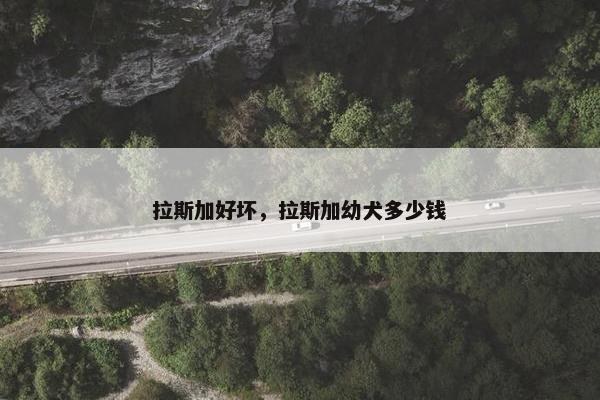 拉斯加好坏，拉斯加幼犬多少钱