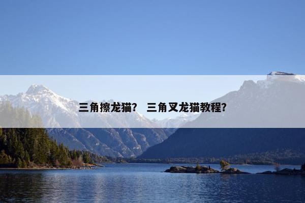 三角擦龙猫？ 三角叉龙猫教程？
