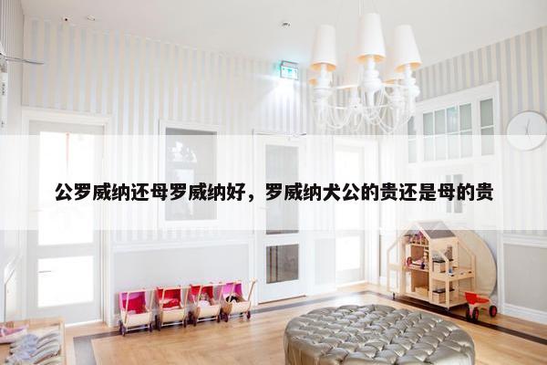 公罗威纳还母罗威纳好，罗威纳犬公的贵还是母的贵