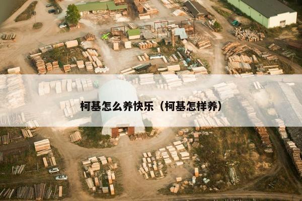 柯基怎么养快乐（柯基怎样养）