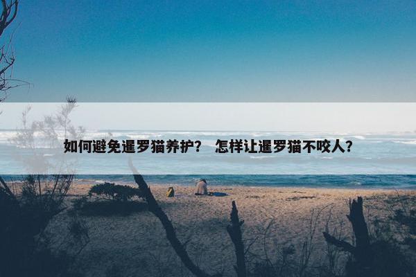 如何避免暹罗猫养护? 怎样让暹罗猫不咬人?