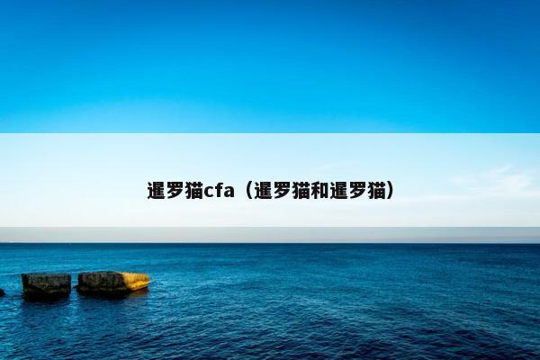 暹罗猫cfa（暹罗猫和暹罗猫）
