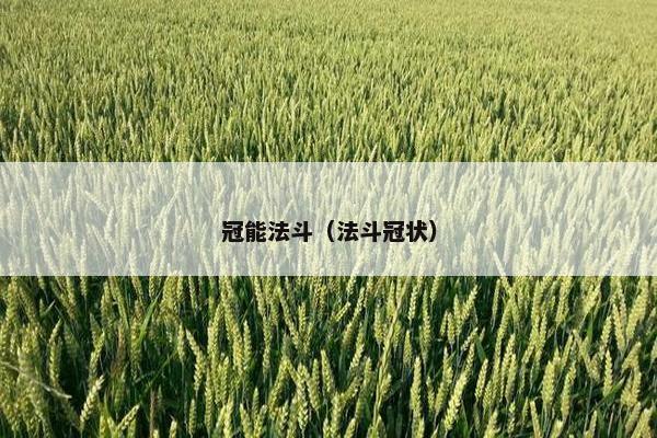 冠能法斗（法斗冠状）