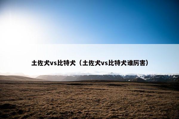 土佐犬vs比特犬（土佐犬vs比特犬谁厉害）