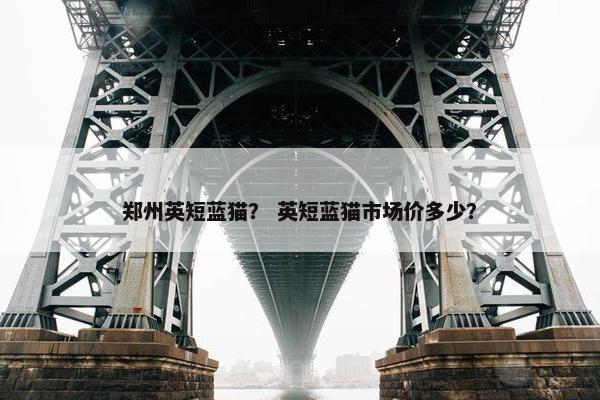 郑州英短蓝猫？ 英短蓝猫市场价多少？