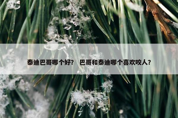 泰迪巴哥哪个好？ 巴哥和泰迪哪个喜欢咬人？