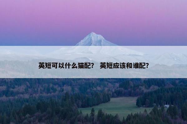 英短可以什么猫配？ 英短应该和谁配？