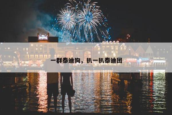 一群泰迪狗，扒一扒泰迪团