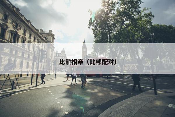 比熊相亲（比熊配对）