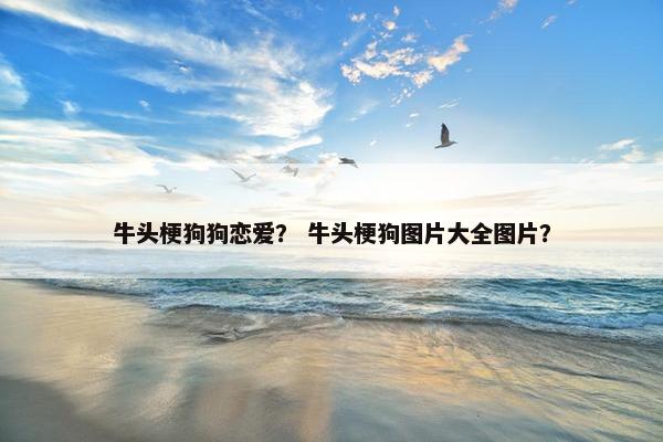 牛头梗狗狗恋爱？ 牛头梗狗图片大全图片？