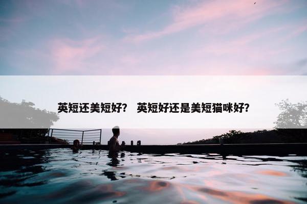 英短还美短好？ 英短好还是美短猫咪好？