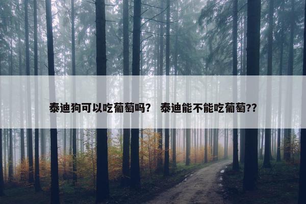 泰迪狗可以吃葡萄吗？ 泰迪能不能吃葡萄?？