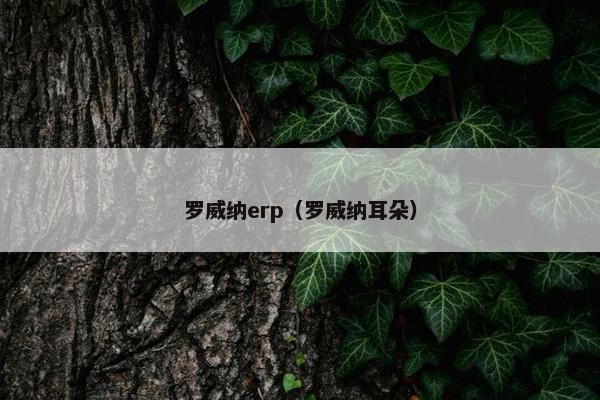 罗威纳erp（罗威纳耳朵）