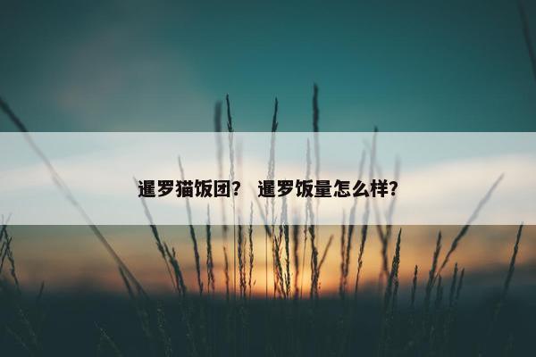 暹罗猫饭团? 暹罗饭量怎么样? 暹罗猫饭团? 暹罗饭量怎么样?