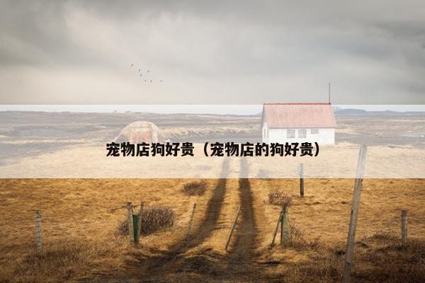 宠物店狗好贵（宠物店的狗好贵）