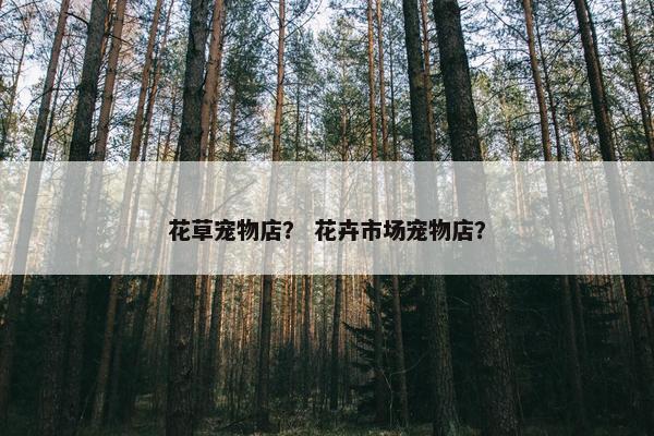 花草宠物店？ 花卉市场宠物店？