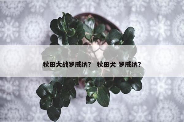 秋田大战罗威纳？ 秋田犬 罗威纳？
