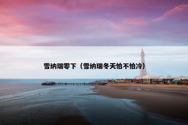 雪纳瑞零下（雪纳瑞冬天怕不怕冷）