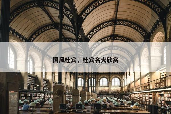 国风杜宾,杜宾名犬欣赏