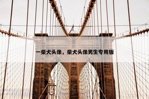 一柴犬头像，柴犬头像男生专用版