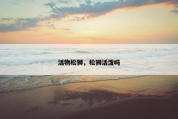 活物松狮，松狮活泼吗