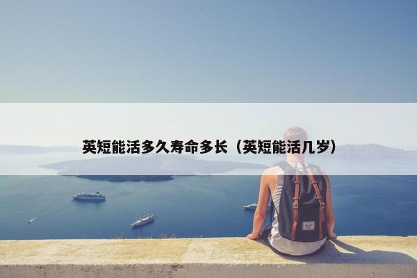 英短能活多久寿命多长（英短能活几岁）