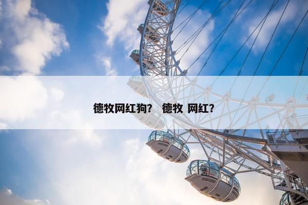 德牧网红狗？ 德牧 网红？